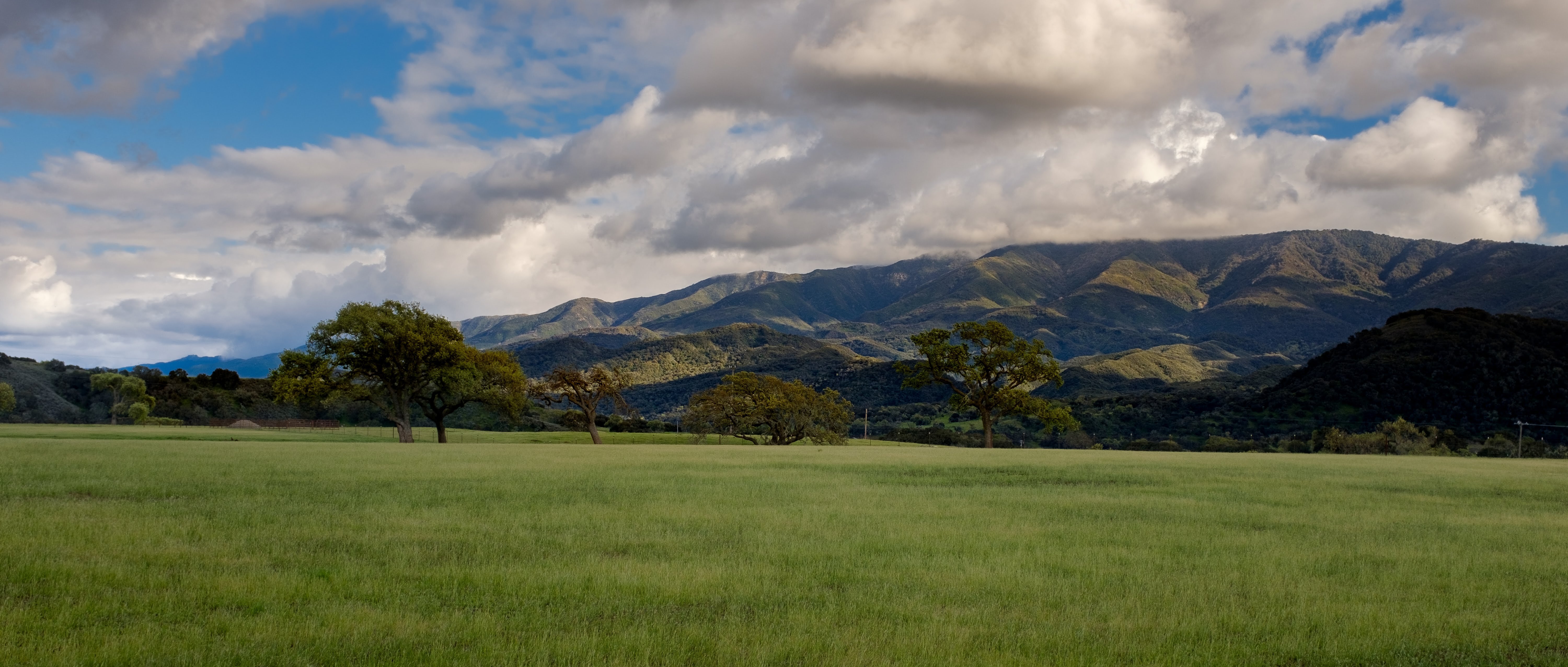 photo with flat green grass in foreground, oak trees, mountains in background, with blue sky and white clouds