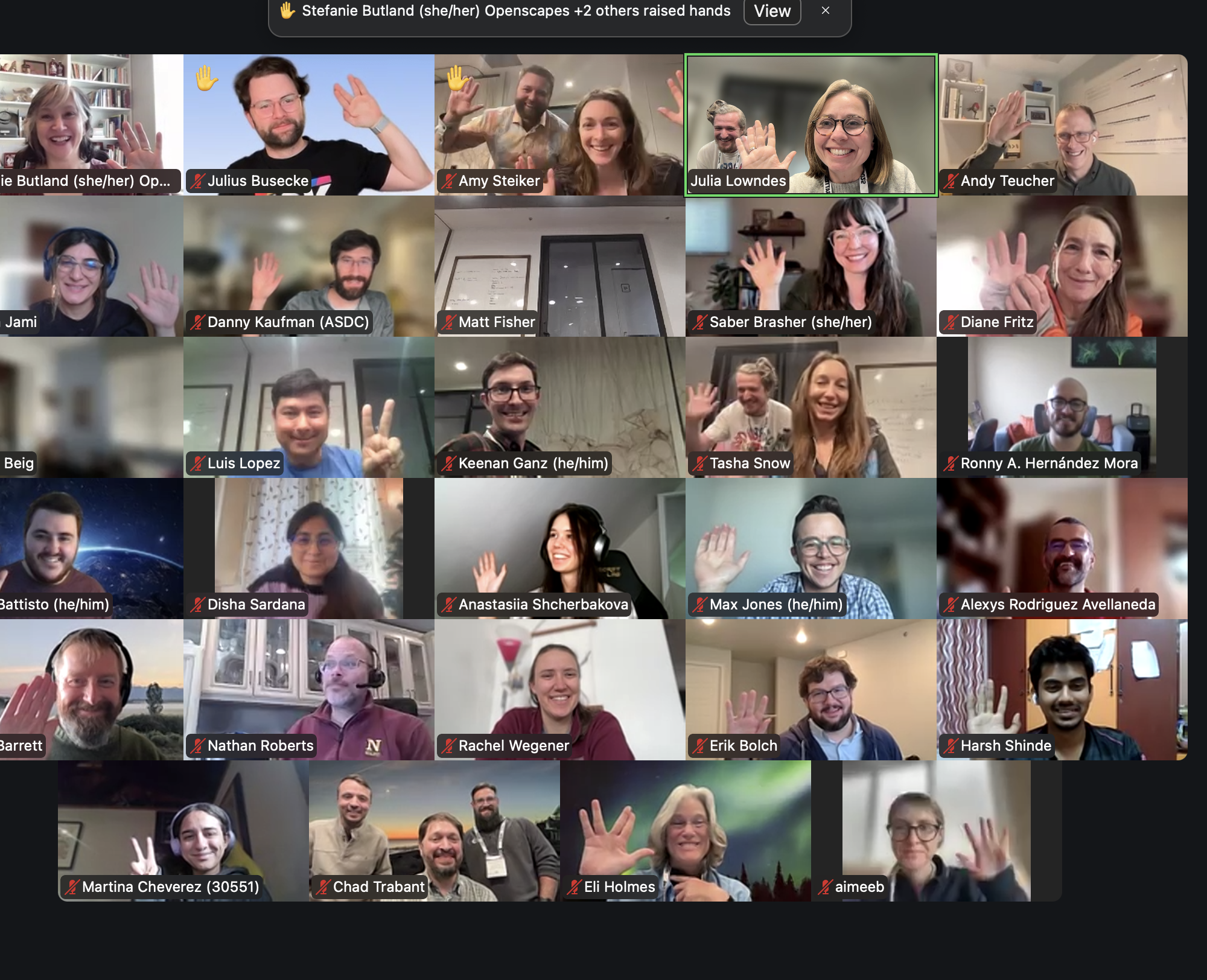 screenshot of zoom window with 6 by 5 squares of smiling waving people