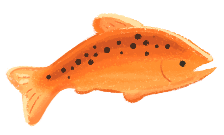 An orange salmon with dark brown spots speckled down its back.