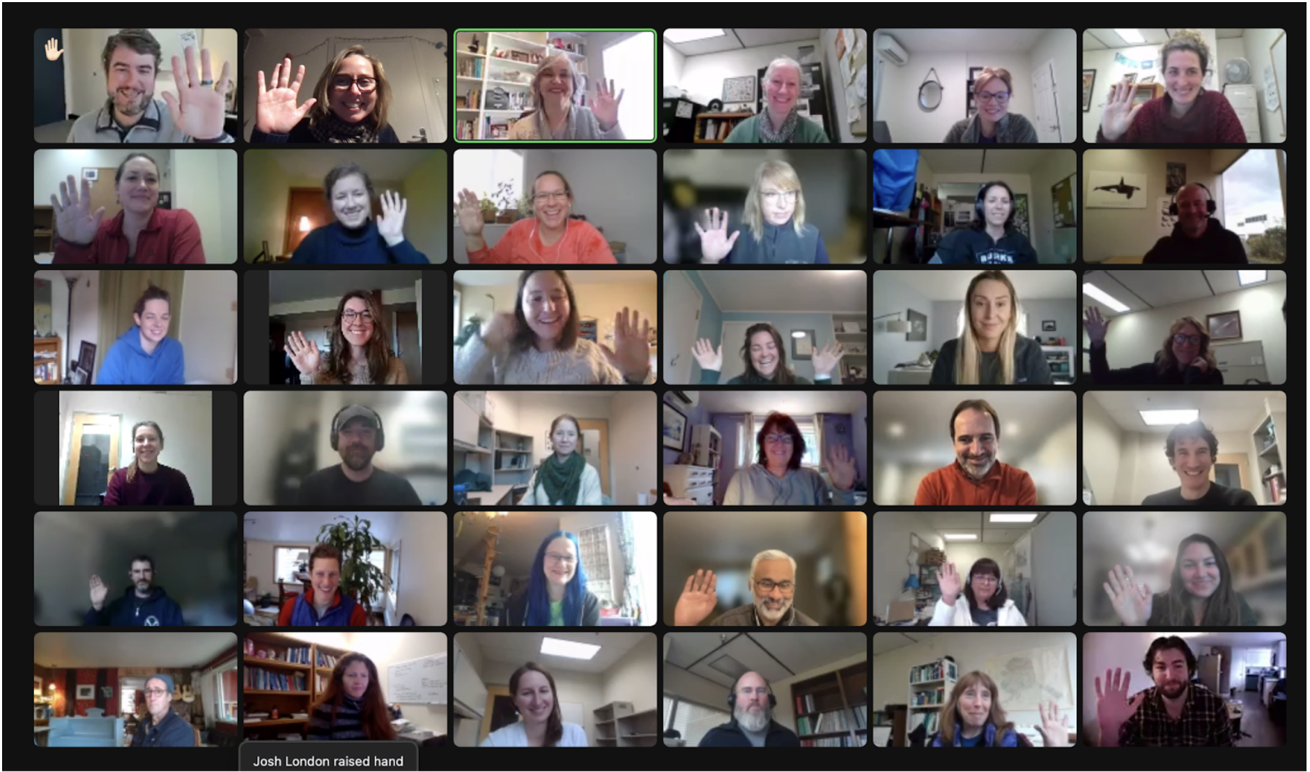 A screenshot of some of AFSC's Openscapes participants over Zoom