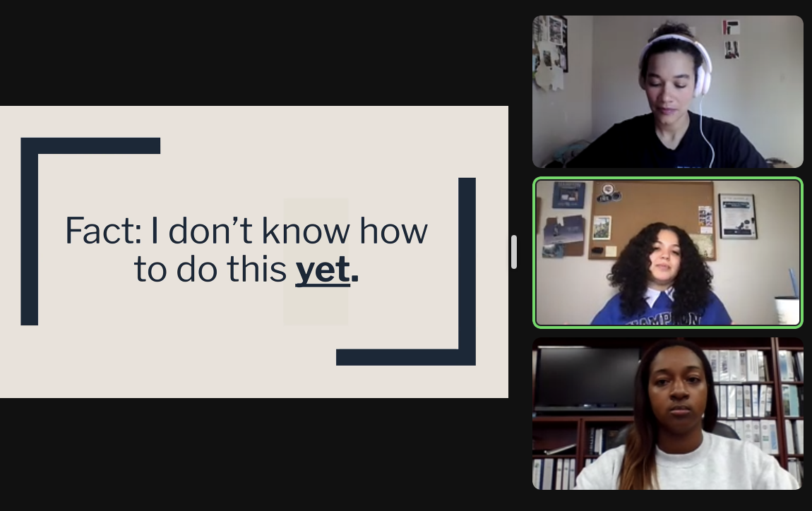Zoom screenshot with caption at left. At right are video images of the 3 co-organizers.