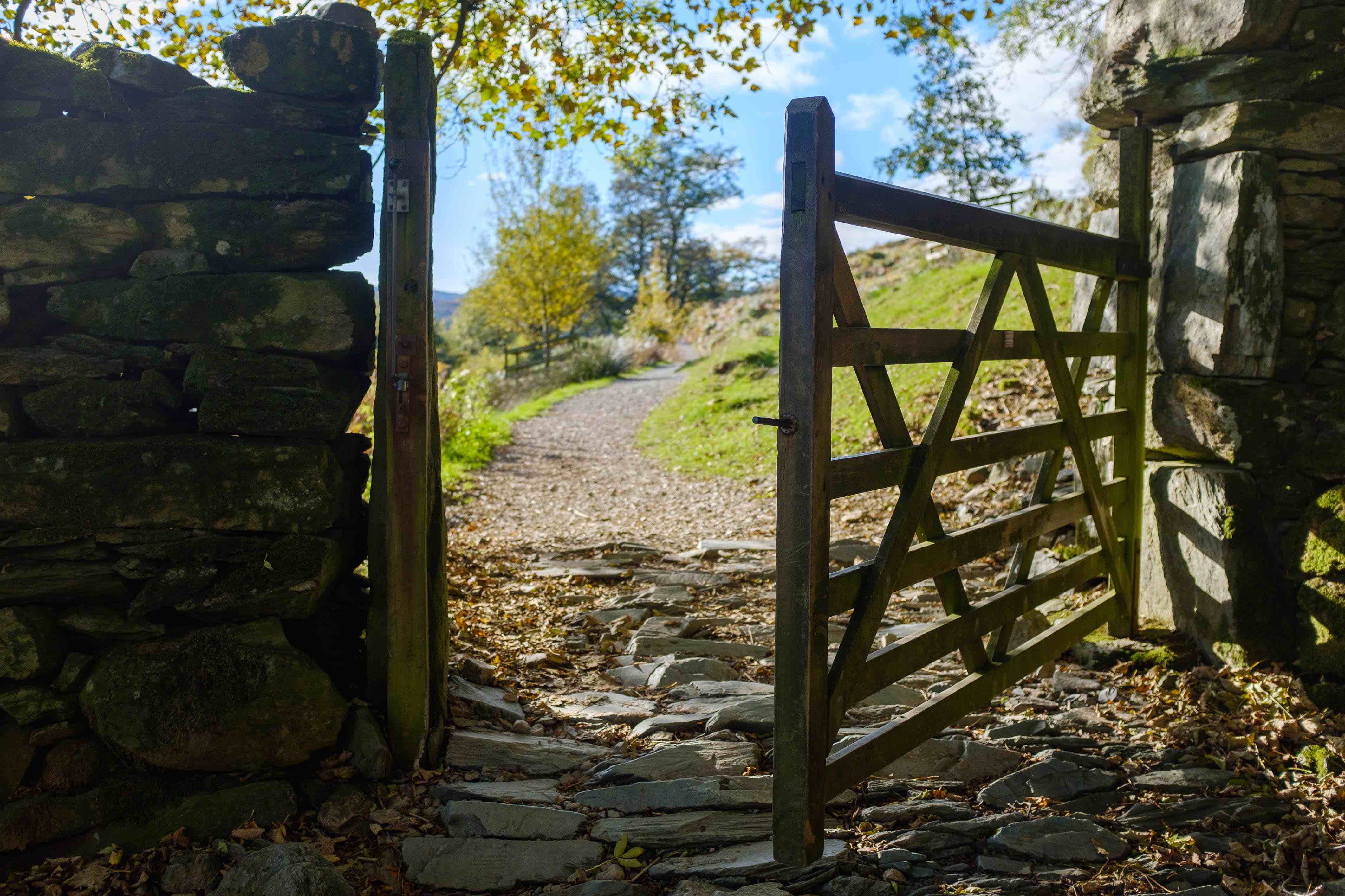 an open wooden gate connecting a dry stone wall with greenery in the background